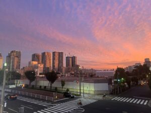 年末のご挨拶　-内閣府世論調査への所感と、今年の岩野事務所についてご報告-