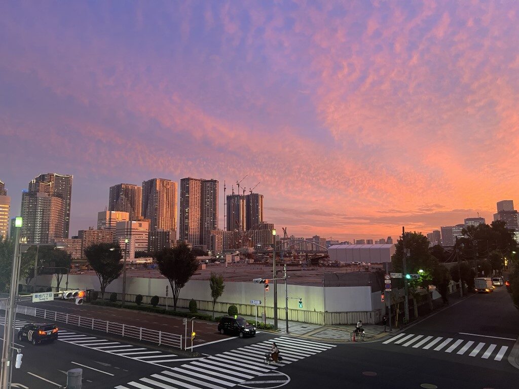 投稿についてもっと詳しく 年末のご挨拶　-内閣府世論調査への所感と、今年の岩野事務所についてご報告-